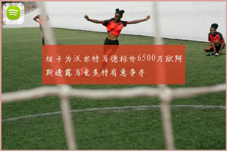 纽卡为沃尔特马德标价6500万欧阿斯透露马竞多特有意争夺