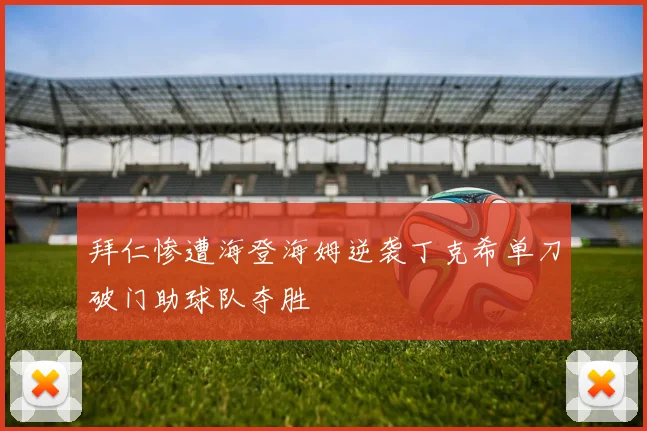 拜仁惨遭海登海姆逆袭丁克希单刀破门助球队夺胜